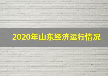 2020年山东经济运行情况