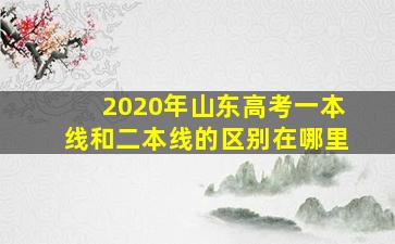 2020年山东高考一本线和二本线的区别在哪里