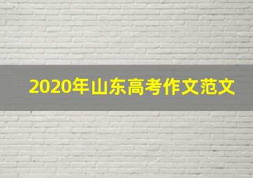 2020年山东高考作文范文