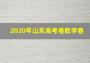 2020年山东高考卷数学卷