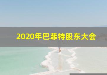 2020年巴菲特股东大会