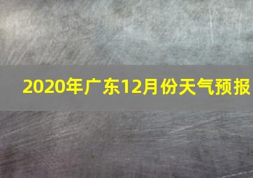 2020年广东12月份天气预报