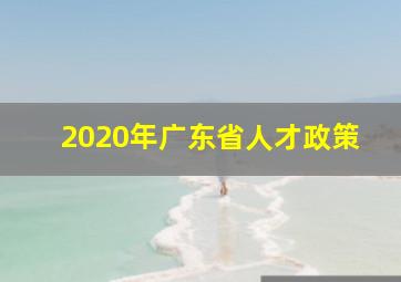 2020年广东省人才政策