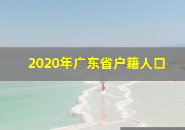 2020年广东省户籍人口