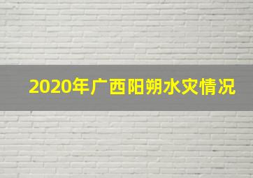 2020年广西阳朔水灾情况