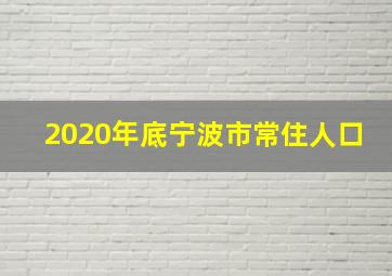 2020年底宁波市常住人口