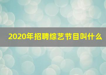 2020年招聘综艺节目叫什么