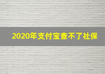 2020年支付宝查不了社保