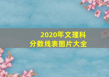 2020年文理科分数线表图片大全