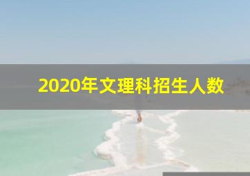 2020年文理科招生人数