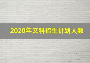 2020年文科招生计划人数