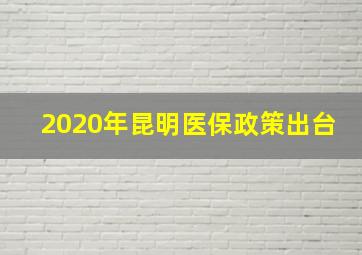 2020年昆明医保政策出台