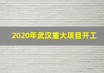 2020年武汉重大项目开工