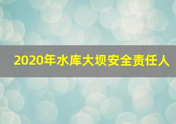 2020年水库大坝安全责任人