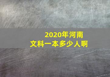 2020年河南文科一本多少人啊