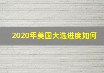 2020年美国大选进度如何