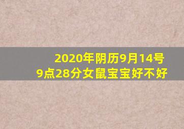 2020年阴历9月14号9点28分女鼠宝宝好不好