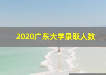 2020广东大学录取人数