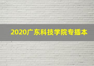 2020广东科技学院专插本