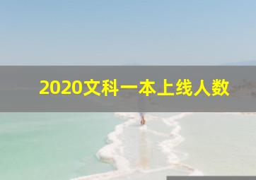 2020文科一本上线人数