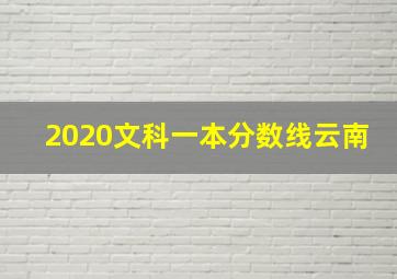 2020文科一本分数线云南