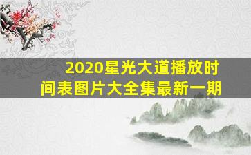 2020星光大道播放时间表图片大全集最新一期