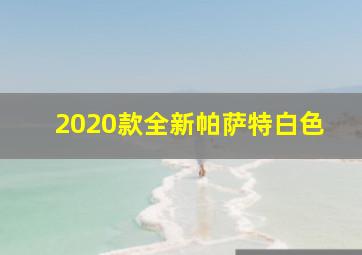 2020款全新帕萨特白色