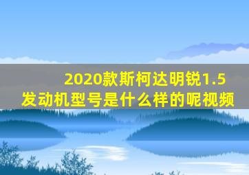 2020款斯柯达明锐1.5发动机型号是什么样的呢视频