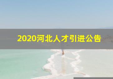 2020河北人才引进公告