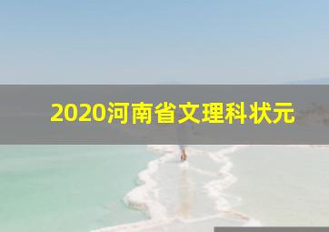 2020河南省文理科状元