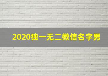 2020独一无二微信名字男