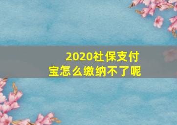 2020社保支付宝怎么缴纳不了呢