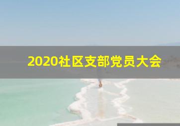 2020社区支部党员大会