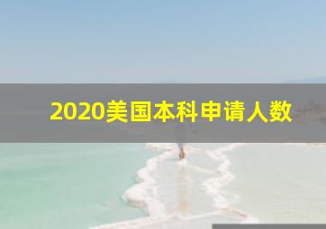 2020美国本科申请人数