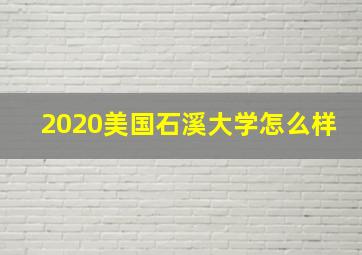 2020美国石溪大学怎么样