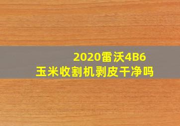 2020雷沃4B6玉米收割机剥皮干净吗