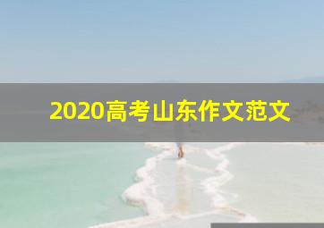 2020高考山东作文范文