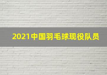 2021中国羽毛球现役队员