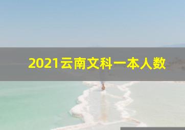 2021云南文科一本人数