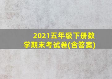 2021五年级下册数学期末考试卷(含答案)