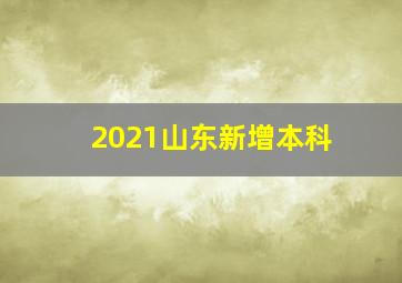 2021山东新增本科