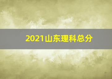 2021山东理科总分