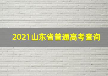 2021山东省普通高考查询