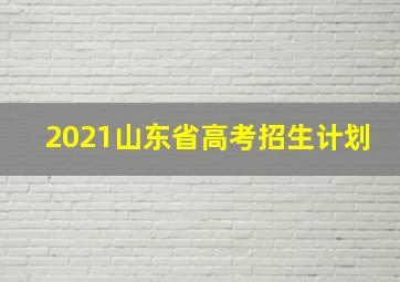 2021山东省高考招生计划