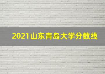 2021山东青岛大学分数线