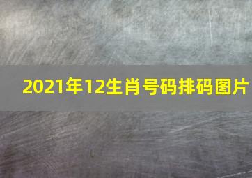 2021年12生肖号码排码图片