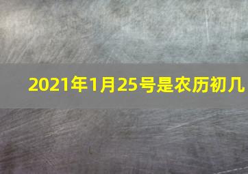 2021年1月25号是农历初几