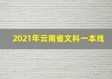 2021年云南省文科一本线