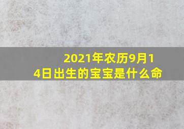 2021年农历9月14日出生的宝宝是什么命