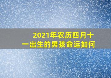 2021年农历四月十一出生的男孩命运如何